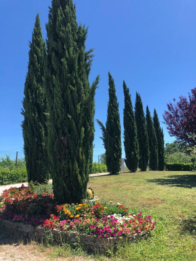 شقة Il Gufo Del Chianti مونتيزبيرتولي المظهر الخارجي الصورة