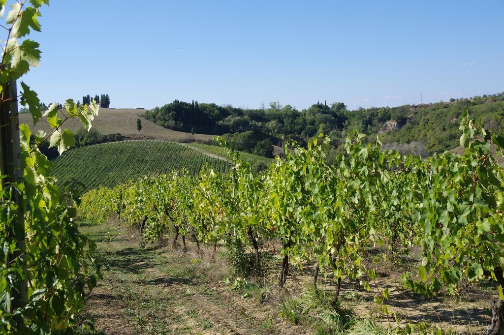 شقة Il Gufo Del Chianti مونتيزبيرتولي المظهر الخارجي الصورة