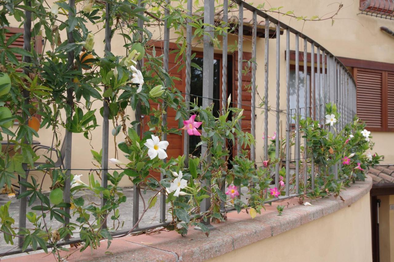 شقة Il Gufo Del Chianti مونتيزبيرتولي المظهر الخارجي الصورة
